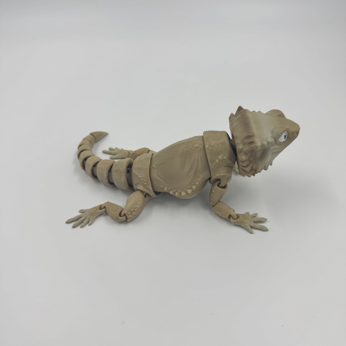 Bearded Dragon