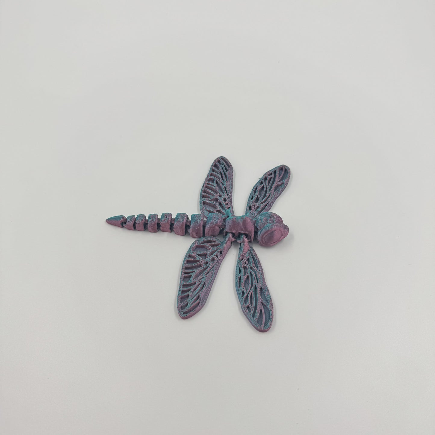 Baby Dragonfly