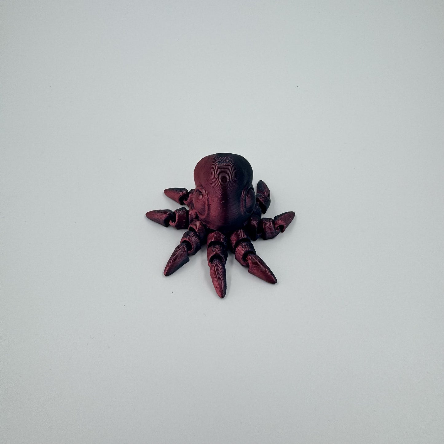 Baby Octopus