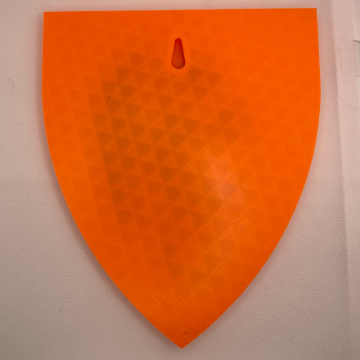 Kingdoms Dragon Shield