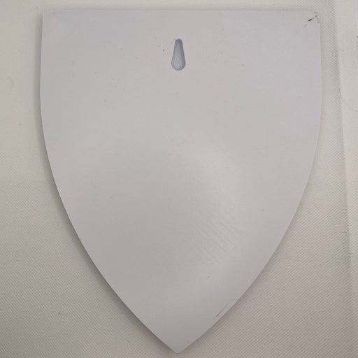 Kingdoms Lion Shield