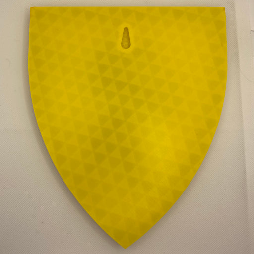 Lion Crusaders Shield