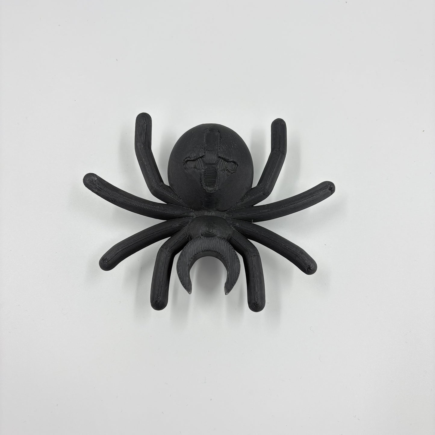 5x Scale Spider