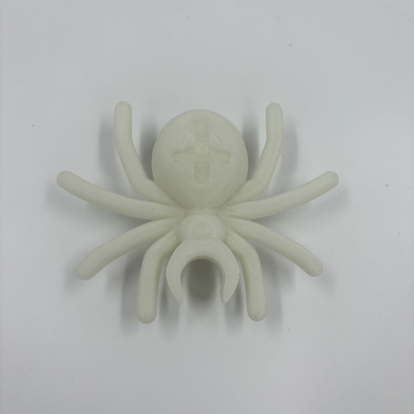 5x Scale Spider