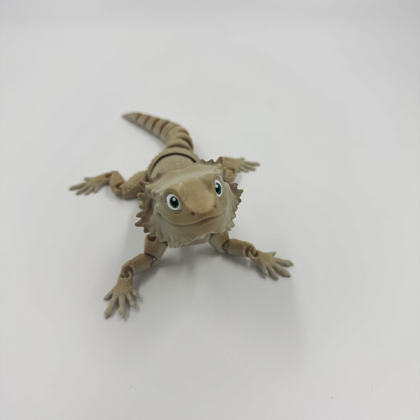Bearded Dragon