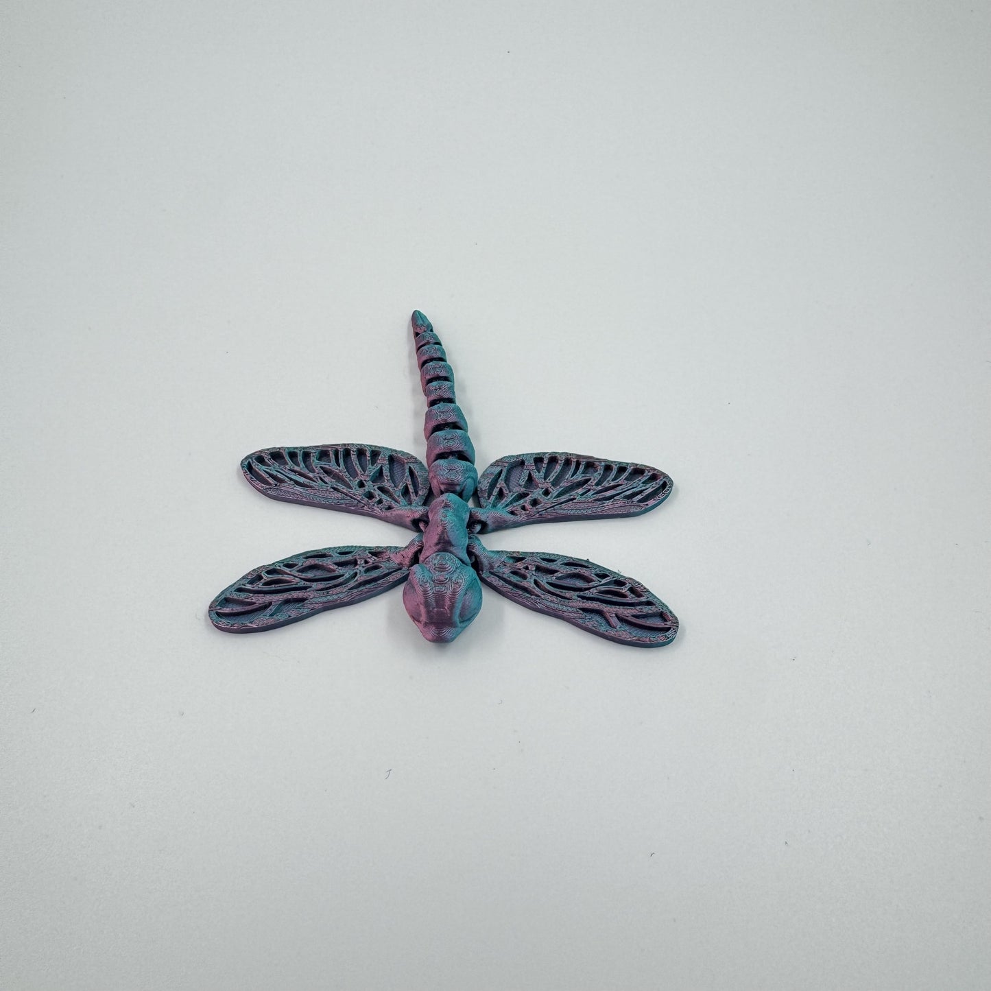 Baby Dragonfly