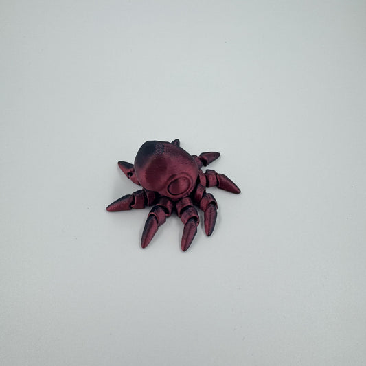 Baby Octopus