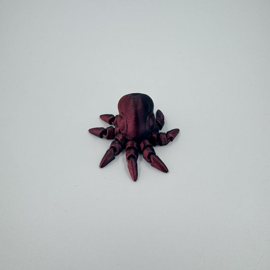 Baby Octopus