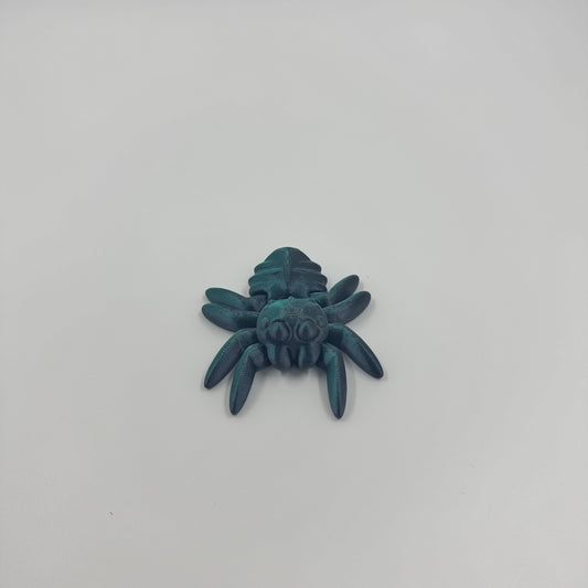 Spider