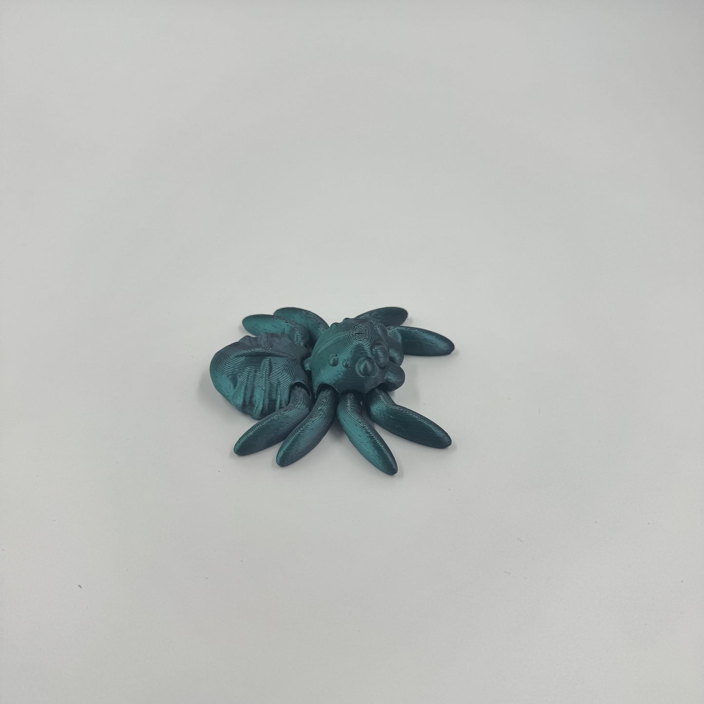 Spider