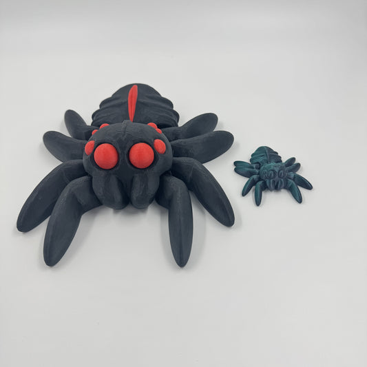 Spider