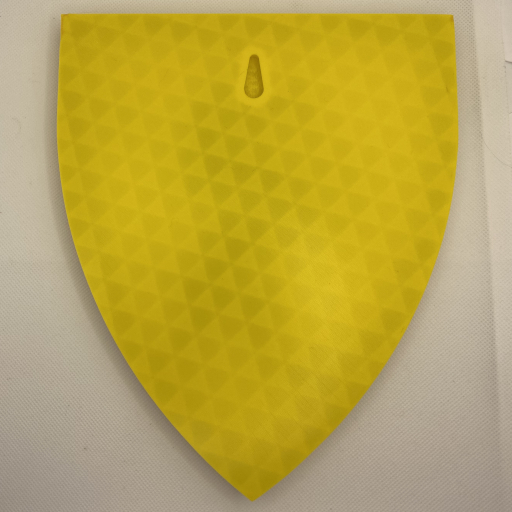 Lion Crusaders Yellow Shield