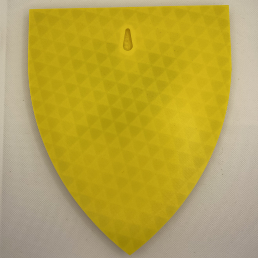 Raven Knights Shield