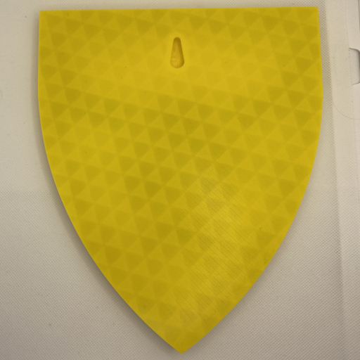 Bull Knights Shield