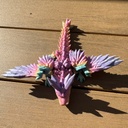 Baby Dragon-Crystal Winged